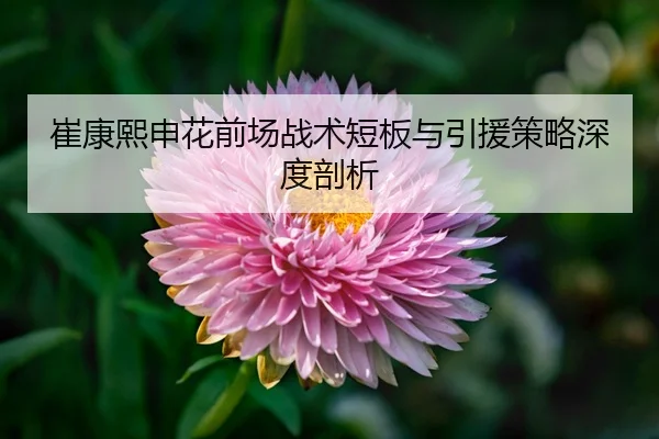 cui-kang-xi-shen-hua-qian-chang-zhan-shu-duan-ban-yu-yin-yuan-ce-lve-shen-du-pou-xi-3-623.jpg