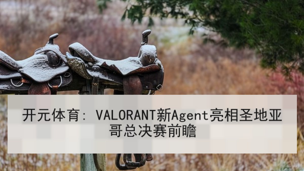 开元体育: VALORANT新Agent亮相圣地亚哥总决赛前瞻 开元体育: VALORANT新Agent亮相圣地亚哥总决赛前瞻