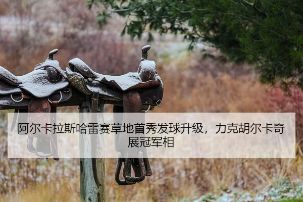 a-er-ka-la-si-ha-lei-sai-cao-di-shou-xiu-fa-qiu-sheng-ji-li-ke-hu-er-ka-qi-zhan-guan-jun-xiang-2-648.jpg