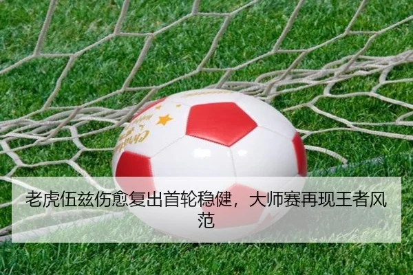 lao-hu-wu-zi-shang-yu-fu-chu-shou-lun-wen-jian-da-shi-sai-zai-xian-wang-zhe-feng-fan-2-395.jpg