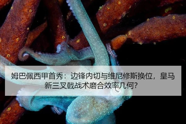 mu-ba-pei-xi-jia-shou-xiu-bian-feng-nei-qie-yu-wei-ni-xiu-si-huan-wei-huang-ma-xin-san-cha-ji-zhan-shu-mo-he-xiao-lv-ji-3-943.jpg