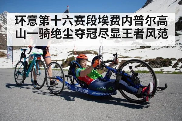 环意第十六赛段埃费内普尔高山一骑绝尘夺冠尽显王者风范