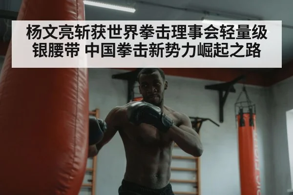 杨文亮斩获世界拳击理事会轻量级银腰带 中国拳击新势力崛起之路