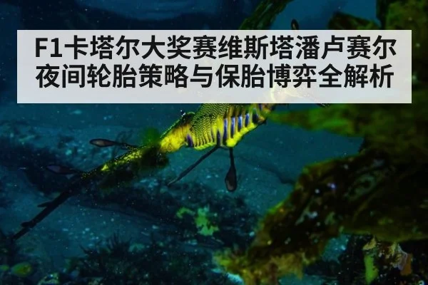 F1卡塔尔大奖赛维斯塔潘卢赛尔夜间轮胎策略与保胎博弈全解析
